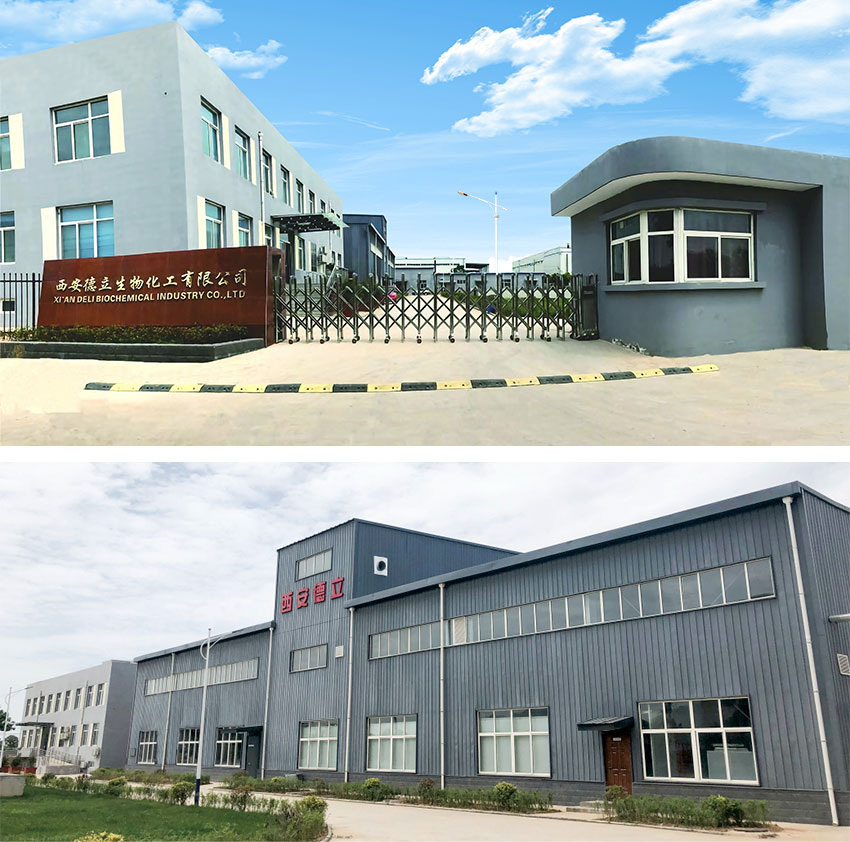Xi'an Deli Biokimika Industry Co., Ltd.: Ziklodextrina eratorritako berrikuntza nagusia, farmazia industria ahalduntzea