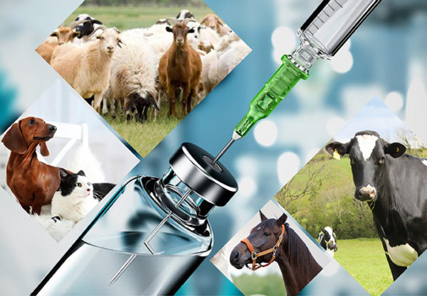 Albaitaritza sendagaiak hobetzea HydroxyPropyl Beadex-ekin